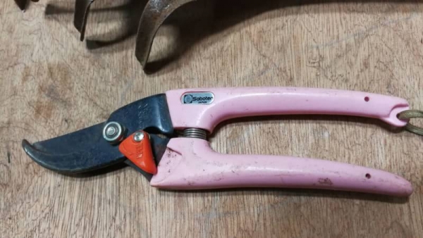 350 บ.ส่งถึงบ้านฟรีโทร 083-2000058 LINE ID: line832923 2aa. ชุดเครื่องมือและอุปกรณ์ทำสวน 7 ชิ้น 350 บ.ส่งถึงบ้านฟรีโทร 083-2000058 LINE ID: line832923 2aa. ชุดเครื่องมือและอุปกรณ์ทำสวน 7 ชิ้น