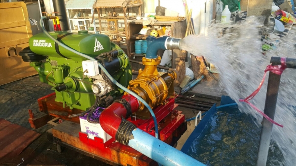 เครื่องสูบนํ้าประกอบใหม่ เครื่อง ANDORIA ดีเซล 23 แรงแน่นๆ+หอยส่งไกล