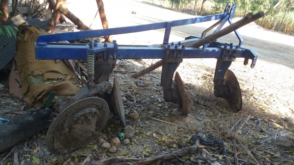 ขายหางสามของไฮเฮงหลี  ราคาต่อลองได้คับ