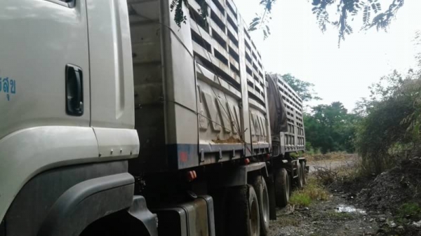 ขาย 1,950,000 แม่ลูกไม่ดั้ม ISUZU 360 ปี 53 แม่สิบล้อ ลูก 3 คาน หัวบาง ยางดี คัชซีสวย เอกสารพร้อมโอน รถอยู่ ขอนแก่น 090-772-3710 090-772-3708