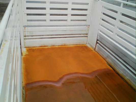 6ล้อแมกก้า 175แรง ปี 57 วิ่งแสนกว่า