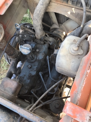 ขายด่วน รถไถ คูโบต้า zl2202 20แรง เพลาเดียวมีใบดัน หางพวนพร้อมใช้งาน ยางใหม่4เส้น แบตเตอรี่ใหม่ขาย75000 ขายด่วน รถไถ คูโบต้า zl2202 20แรง เพลาเดียวมีใบดัน หางพวนพร้อมใช้งาน ยางใหม่4เส้น แบตเตอรี่ใหม่ขาย75000