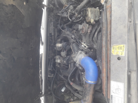 ฟอร์ดอเมกา