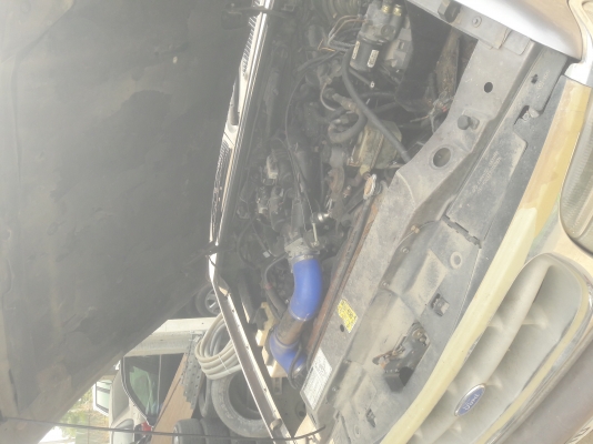 ฟอร์ดอเมกา