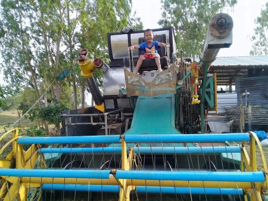 รถเกี่ยวข้าว รถเกี่ยวข้าว