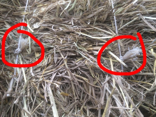 นิว ฮอนแลน 276 เช็คพร้อมใช้งานแล้วครับ ราคา 129,000 อยู่สุรินทร์ ครับ 091-0206555 นิว ฮอนแลน 276 เช็คพร้อมใช้งานแล้วครับ ราคา 129,000 อยู่สุรินทร์ ครับ 091-0206555