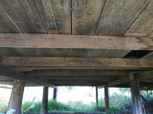 ขายไม้เก่าไม้ตะแบกเสา16ต้นไม้คานไม้พื้นทั้งหลัง ขายไม้เก่าไม้ตะแบกเสา16ต้นไม้คานไม้พื้นทั้งหลัง