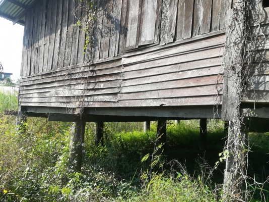 ขายไม้เก่าไม้ตะแบกเสา16ต้นไม้คานไม้พื้นทั้งหลัง