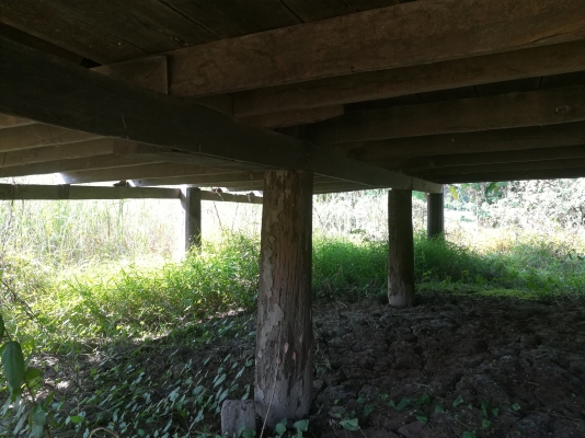 ขายไม้เก่าไม้ตะแบกเสา16ต้นไม้คานไม้พื้นทั้งหลัง ขายไม้เก่าไม้ตะแบกเสา16ต้นไม้คานไม้พื้นทั้งหลัง