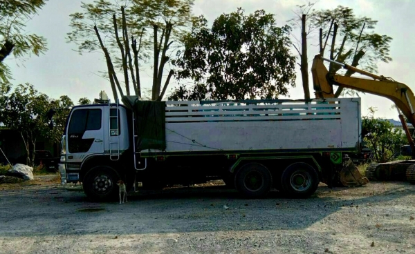 ขาย HINO 1J วางเครื่อง P11 320 แรง พ่วงแม่ลูก รถปี 44