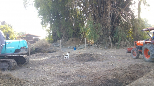 ขาย4508  DI    สวย สีเดิมๆ  พร้อมผาน 6*22 ตราช้าง ครับ