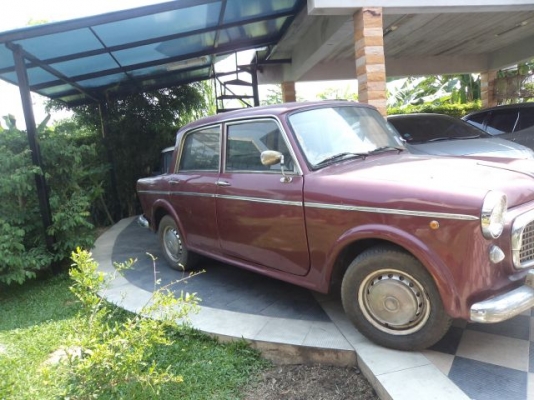 ต้องการขาย FIAT 1100D