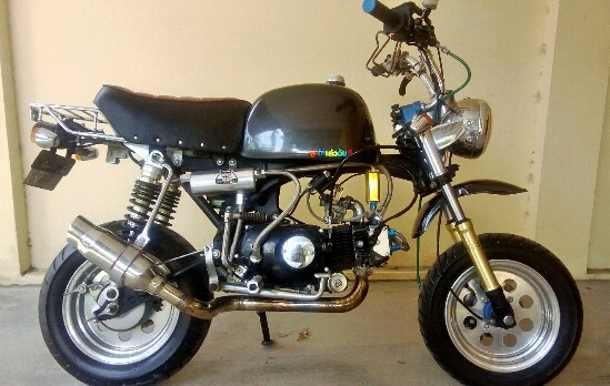 กอลิล่า แต่ง ลดราคาด่วนๆ