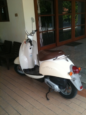 Sale Honda Scoopy 50 cc