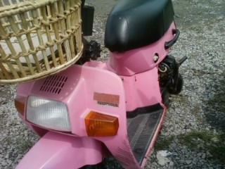 ขายรถป๊อบ ขายรถป๊อบ