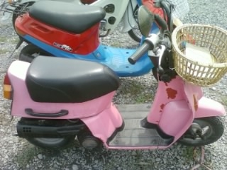 ขายรถป๊อบ ขายรถป๊อบ