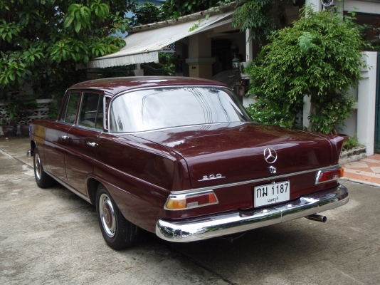 ขายด่วน!!! รถโบราณ Benz 200 หางปลา ขายด่วน!!! รถโบราณ Benz 200 หางปลา