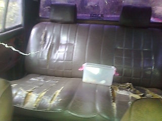 ขายรถกระบะ 4 ประตู MAZDA แม็กนั่ม ใส่เครื่อง นิสสัน LD28 6 สูบ เชื้อเพลิงดีเซล พวงมาลัยเพาเวอร์ เกียร์ธรรมดา ราคา 35000