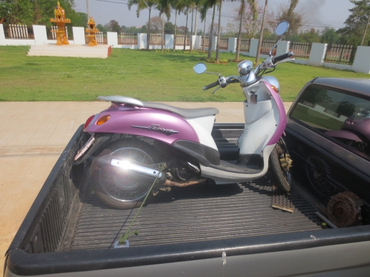 ขาย yamaha ฟีโน่ มือสอง