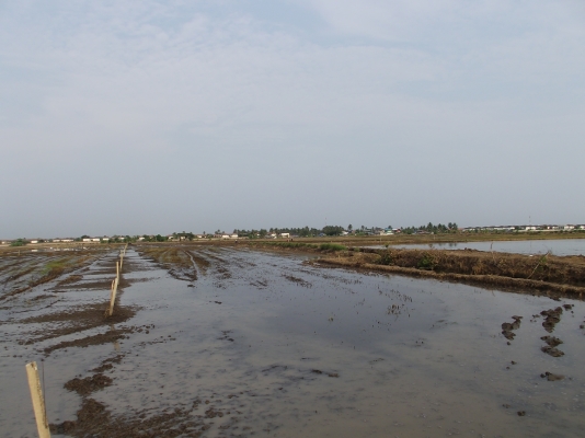 ขายที่ดิน ด่วนน!!!!!!