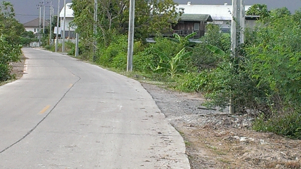 ขายที่ดิน ด่วนน!!!!!!