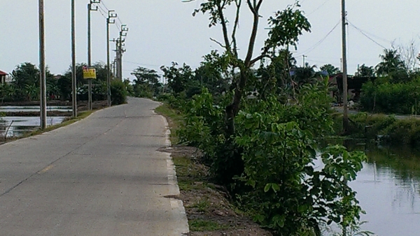 ขายที่ดิน ด่วนน!!!!!!