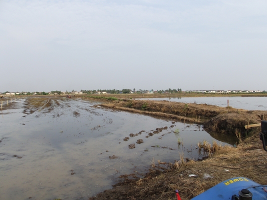 ขายที่ดิน ด่วนน!!!!!!