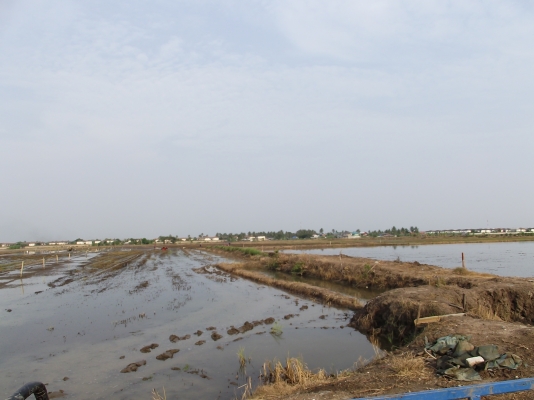 ขายที่ดิน ด่วนน!!!!!!