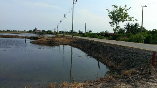 ขายที่ดิน ด่วนน!!!!!!