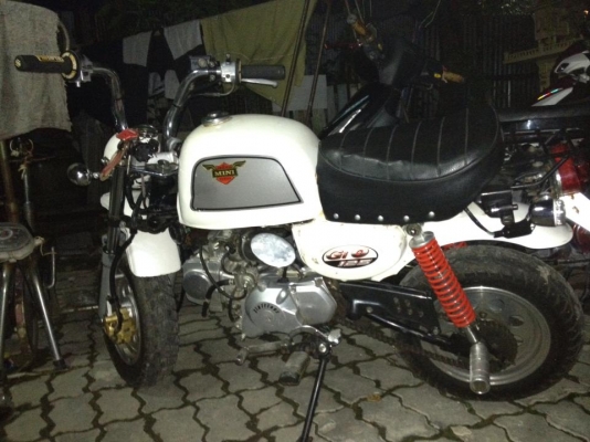 ขาย กอลิล่า 23,000 บาท ทะเบียนโอน ภาษีไม่ขาดต่อ 0841649712