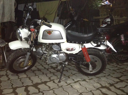 ขาย กอลิล่า 23,000 บาท ทะเบียนโอน ภาษีไม่ขาดต่อ 0841649712