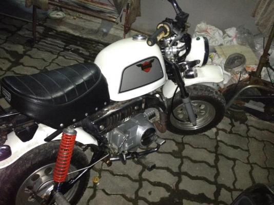 ขาย กอลิล่า 23,000 บาท ทะเบียนโอน ภาษีไม่ขาดต่อ 0841649712