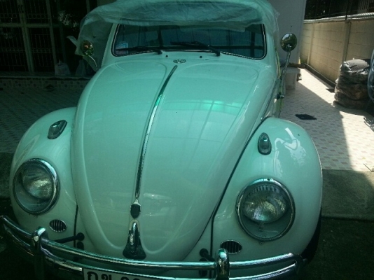 ขายรถเต่า ตาหวาน กันชนรั้ว ปี 1960 สีขาว