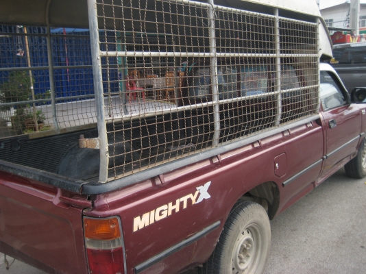 ขายด่วน Toyota mighty X รถใช้เองคะ ขายด่วน Toyota mighty X รถใช้เองคะ