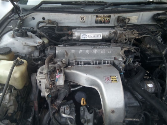 แคมรี่่   061-6319748