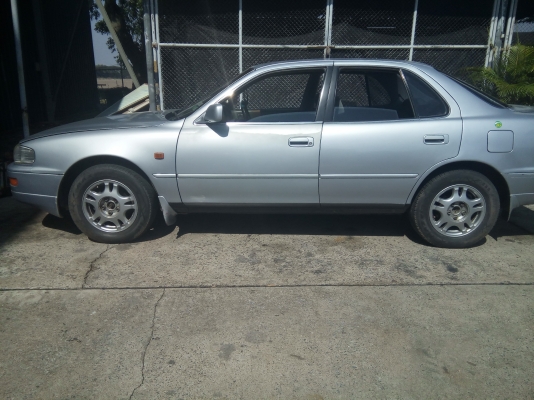 แคมรี่่   061-6319748