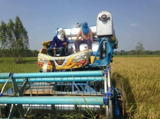 ขายรถเกี่ยวข้าว เกษตรพัฒนาปี53เครื่อง260Jo8c ปั๊ม23ช่วงล่าง12โรงงาน