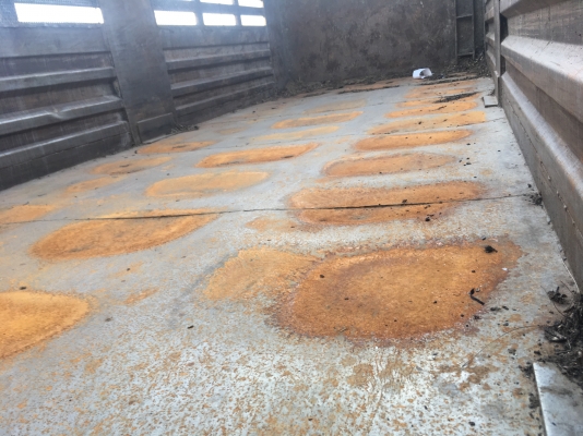 ขายด่วนFM8J 251 ปี57 วิ่งน้อย115000โล ดั้มมีระบบลาก สภาพสวยสดเดิมบาง ขายด่วนFM8J 251 ปี57 วิ่งน้อย115000โล ดั้มมีระบบลาก สภาพสวยสดเดิมบาง