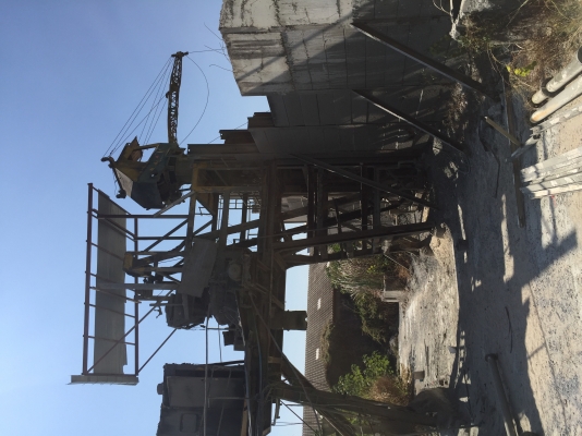 ขายแพนปูน กาบาก โหลด 1/2 คิว ครับ (เฉพราะตัวแพนปูน)