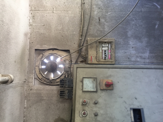 ขายแพนปูน กาบาก โหลด 1/2 คิว ครับ (เฉพราะตัวแพนปูน)