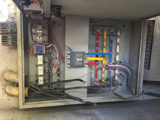 ขายแพนปูน กาบาก โหลด 1/2 คิว ครับ (เฉพราะตัวแพนปูน)