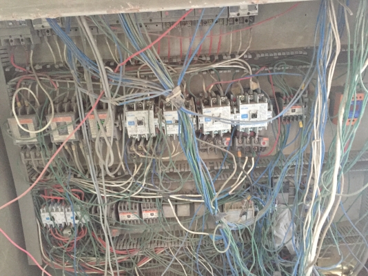 ขายแพนปูน กาบาก โหลด 1/2 คิว ครับ (เฉพราะตัวแพนปูน)