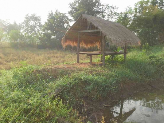 ขายที่ดินด่วน 24 ไร่43ตารางวา อยู่ติดถนนสายภูเวียง-หนองบัวลำภู 15กิโลเมตร พร้อมโฉนดที่ดินค่ะ ขายที่ดินด่วน 24 ไร่43ตารางวา อยู่ติดถนนสายภูเวียง-หนองบัวลำภู 15กิโลเมตร พร้อมโฉนดที่ดินค่ะ