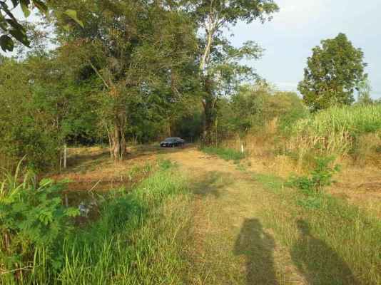 ขายที่ดินด่วน 24 ไร่43ตารางวา อยู่ติดถนนสายภูเวียง-หนองบัวลำภู 15กิโลเมตร พร้อมโฉนดที่ดินค่ะ