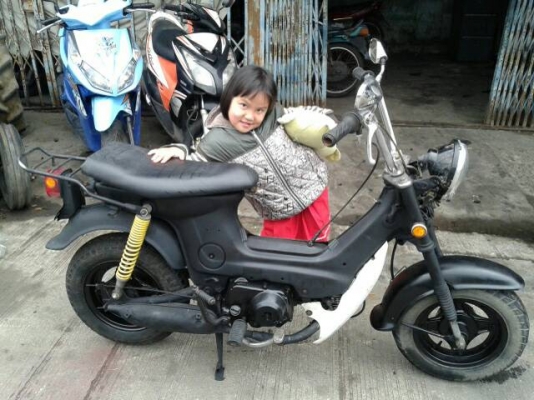 Honda chaly รถป๊อบ
