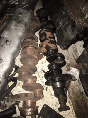 เสื้อ6bd1. ข้อ6bd1