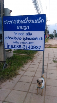 หินลับมีด