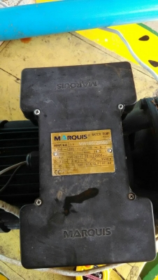 ขายเครื่องสูบน้ำของ อเมริกา ท่อ 3 นิ้ว