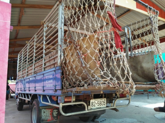 ISUZU NKR130 ปี2544 รถห้างแท้ เครื่องดี คัสซีสวย สภาพดีครับ