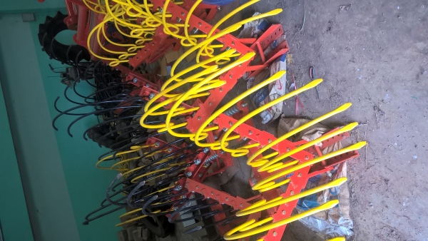 จำหน่ายหนวดกุ้งคราดหญ้าอ้อย จำหน่ายหนวดกุ้งคราดหญ้าอ้อย